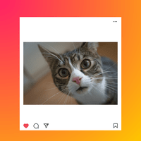 Instagram Videos and Photos Download